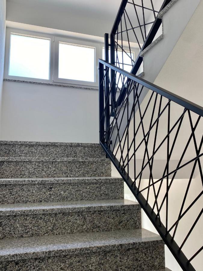 Theros بيبينيا المظهر الخارجي الصورة